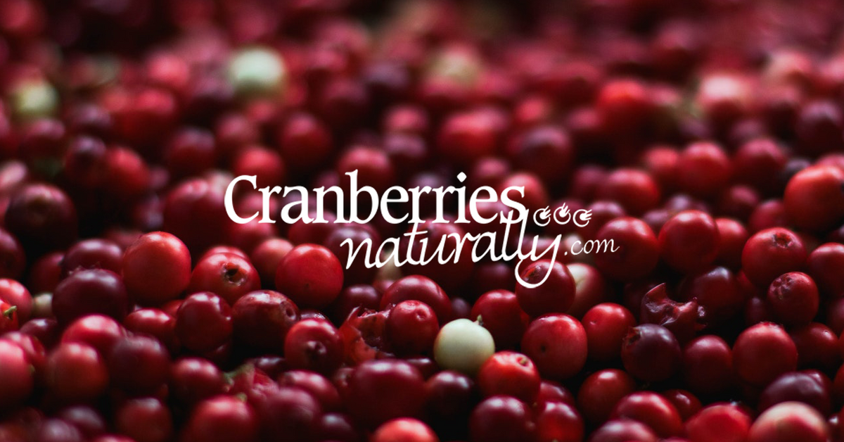 Farmley Premium Whole Canadian Dried Cranberry Dry Fruit 200 g  High  Nutrient and Antioxidant : : Grocery & Gourmet Foods